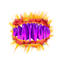 PlayVoid Server Icon