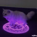 𝒄𝑎̈𝒕 𝒊𝒏𝒗𝒂𝒔𝒊𝒐𝒏 Discord Server Icon