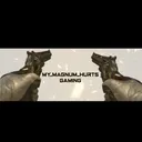 Magnum's server