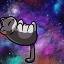 QK's Kitty Fam