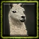 aoe3 Game Archive