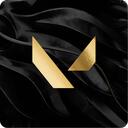 VALORANT icon