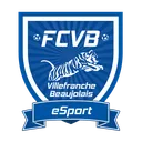FCVB eSport