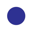 LinguaCorp Server Icon