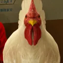 Discord Ga Gotoku
