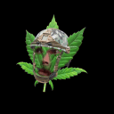Vizionaries