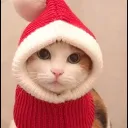 Skidson - Merry Christmas! Discord Server Icon