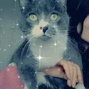 Neko_Wildfire