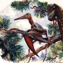 Malterodactyls Nest