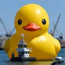 DUCKISCORD