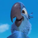 Rio - discord server icon