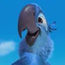 Rio
