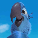 Rio - discord server icon