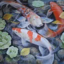 Koi Pond