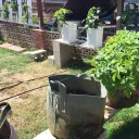 aquaponics