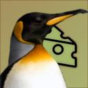 discord.gg/pinguins Discord Server Icon
