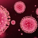 Coronavirus (COVID-19) Support Server