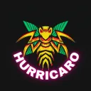 Hurricaro Valiants's icon