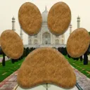 Paw Palace