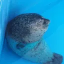 るからの部屋