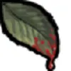 SoW PvP Ark Servers