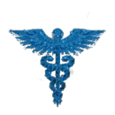 Med Force Enterprises