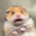 MeLo 混合