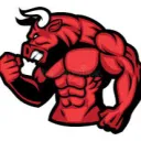 Wall Street Bulls