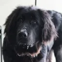Thanks, I hate it