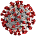 CoronaCord icon