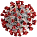 CoronaCord