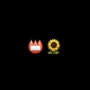 📛🌻