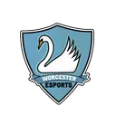 Worcester Uni eSports
