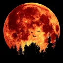 Blood Moon Mafia