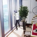 The Calm House