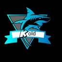 Team kold's Server