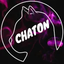 Arbre à chat - Chaton Sauvage