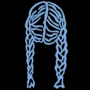 Twinbraid