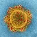 Biohacker Coronavirus Task Force