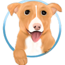 Cute Animals Server Icon