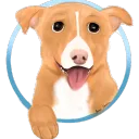 Cute Animals