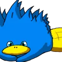 Serveur du laulle