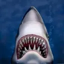 The Shark Clan
