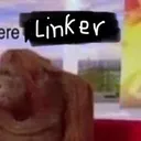 Linkers Server