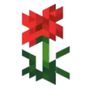 [RA] levitican federation