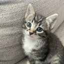 Thirsty Thursdays Discord server icon