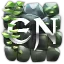 Euphoria Network