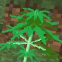 WeedCraft