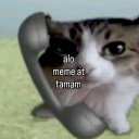 🗿🗿🗿 server icon