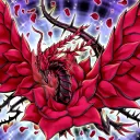 Plant Synchro/Rose Dragon